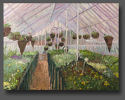 Hanging Baskets 60x80cm